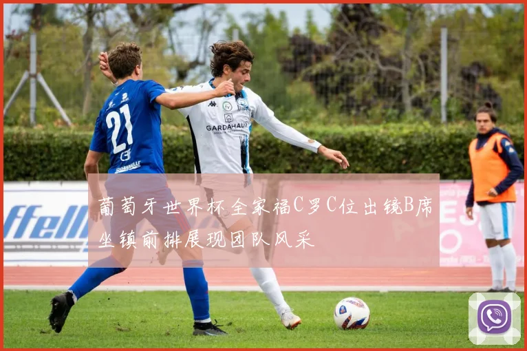 葡萄牙世界杯全家福C罗C位出镜B席坐镇前排展现团队风采