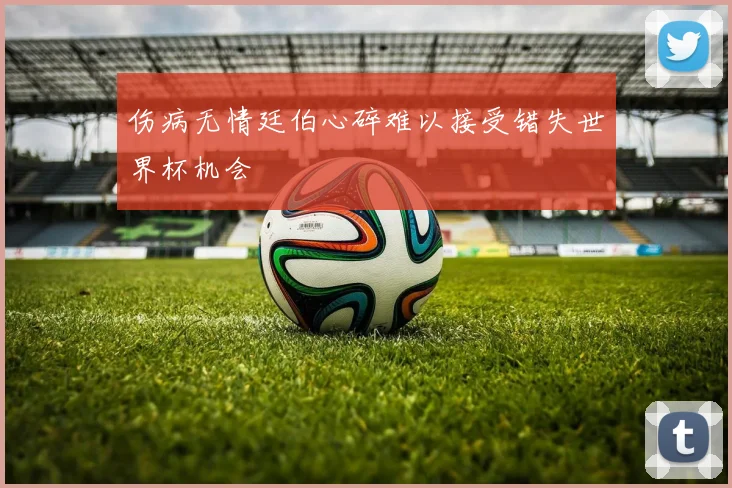 伤病无情廷伯心碎难以接受错失世界杯机会