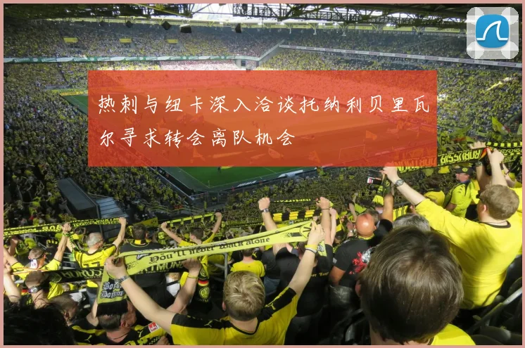 热刺与纽卡深入洽谈托纳利贝里瓦尔寻求转会离队机会