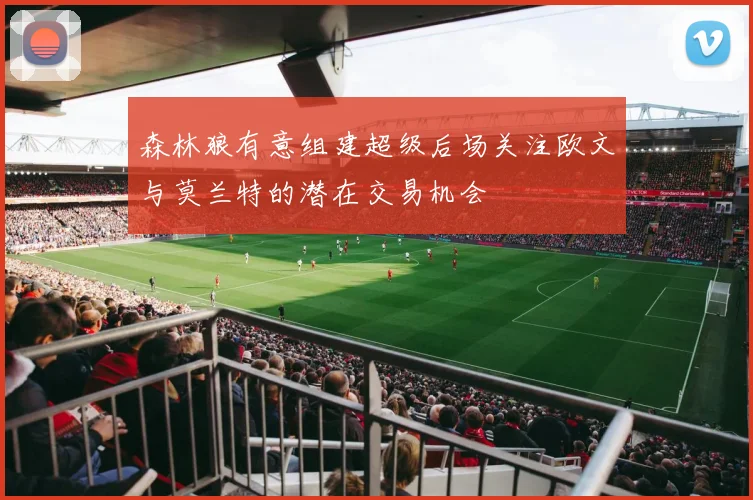 森林狼有意组建超级后场关注欧文与莫兰特的潜在交易机会